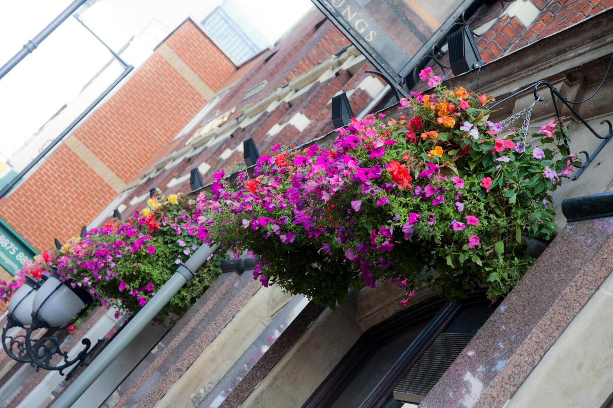 The Brewers Inn London Exterior foto